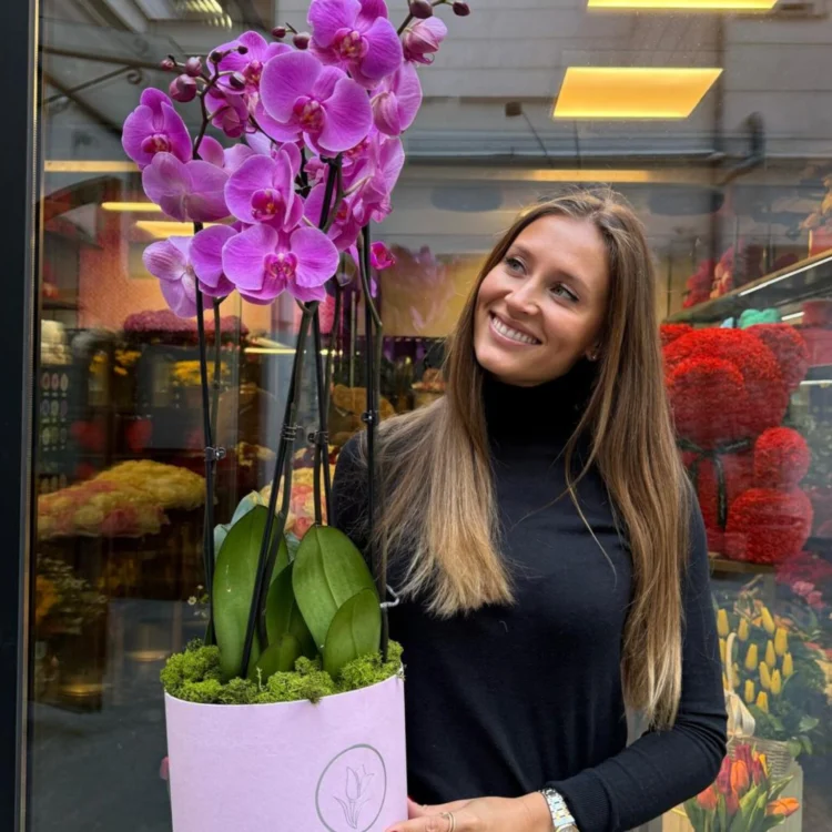 Orchid Luxury 4 Bars