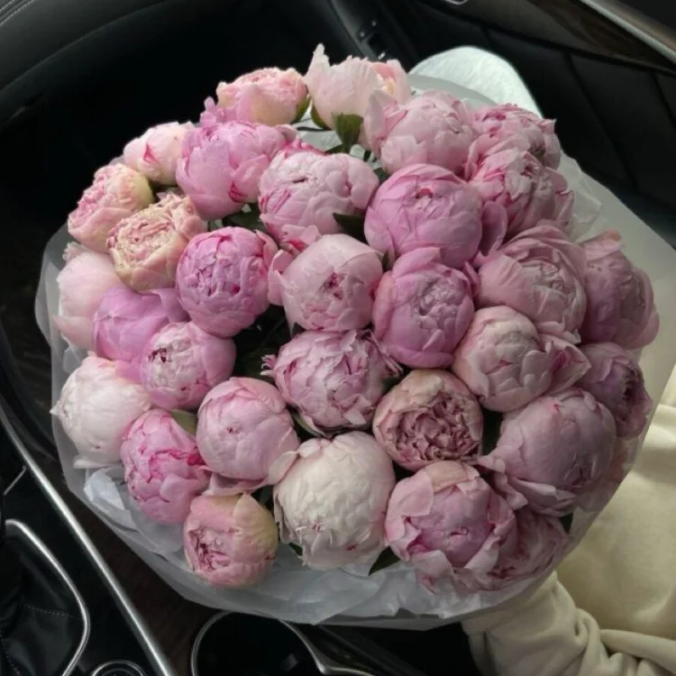 20 Luxury Peonies