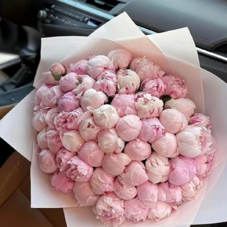 50 Luxury Baby Pink Peonies