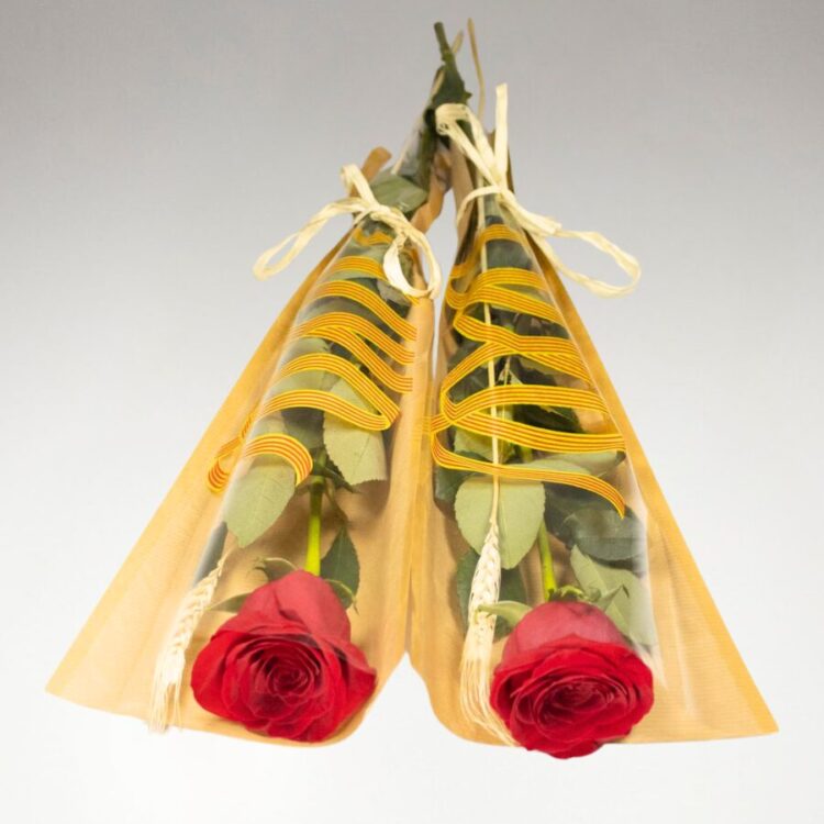 Pack 2 Rosas Sant Jordi con Trigo