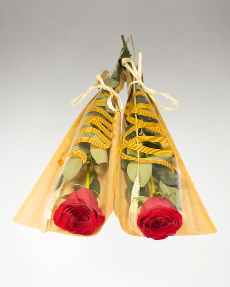 Pack 2 Rosas Sant Jordi con Trigo