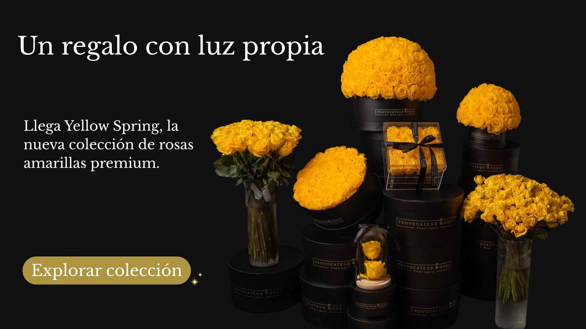 slider rosas amarillas