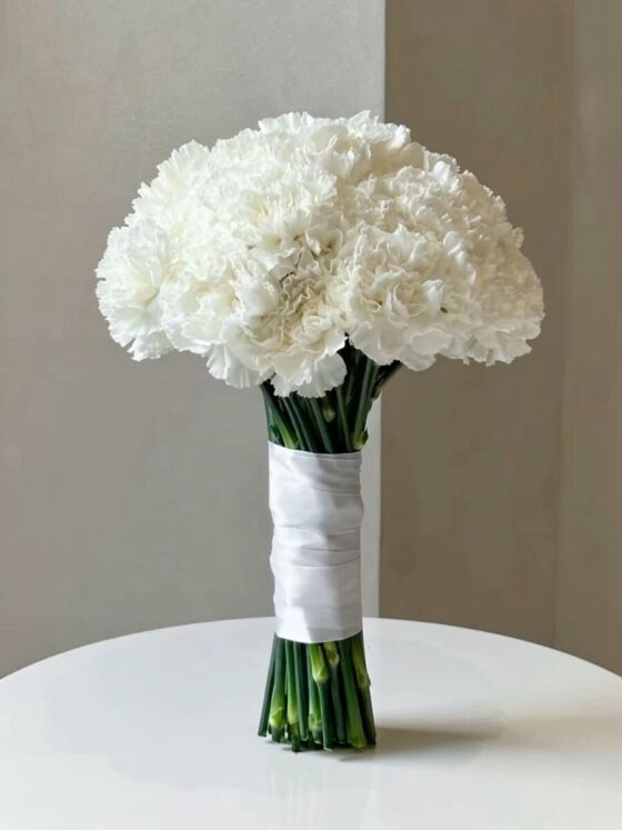 24 Claveles Bouquet