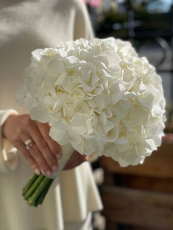 4 Hortensias
