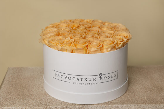 Caja Redonda de Rosas Preservadas peach - Imagen 2