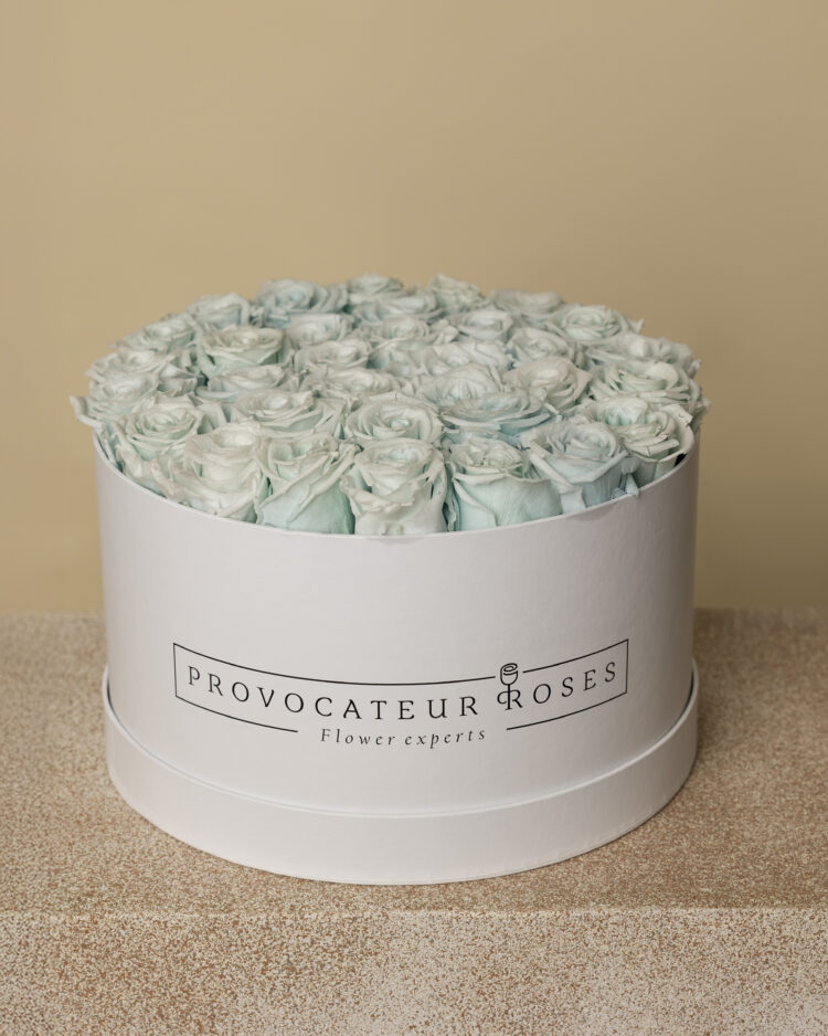 Caja Redonda de Rosas Preservadas celeste