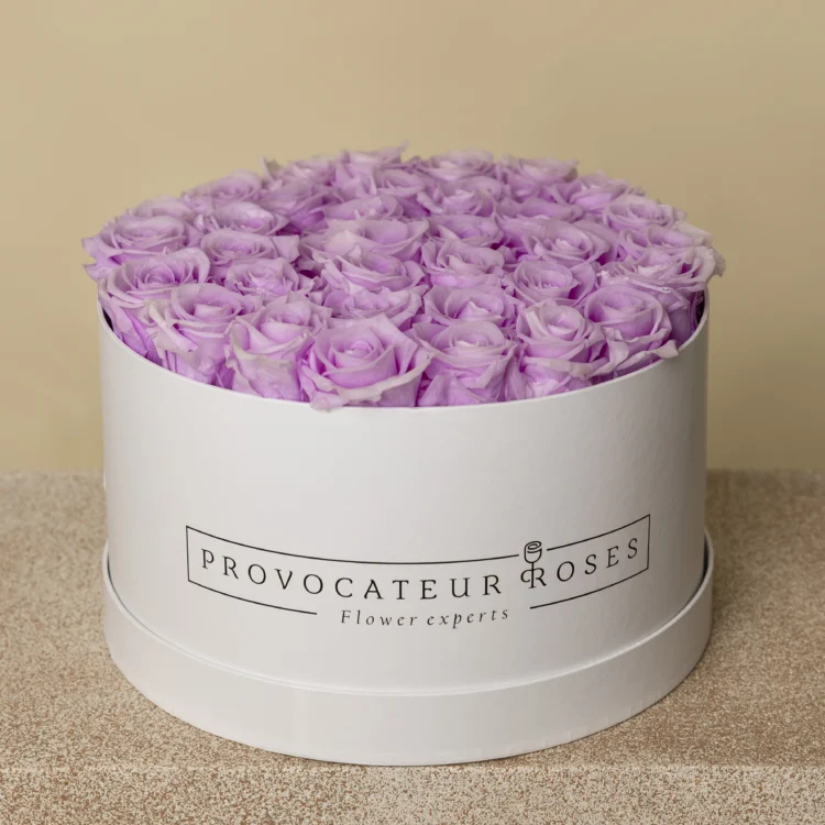 Round box of preserved roses Baby Lili