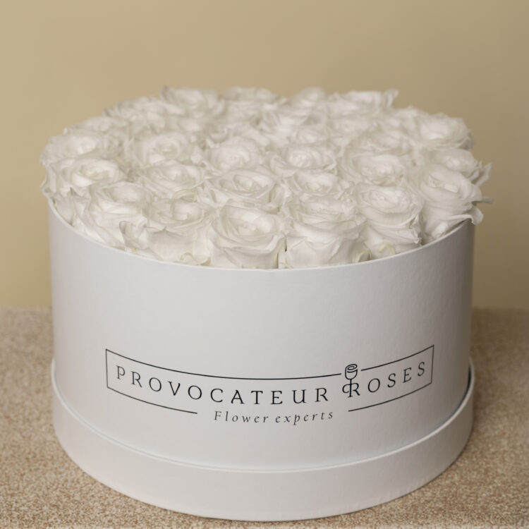 Caja redonda de rosas preservadas puré white