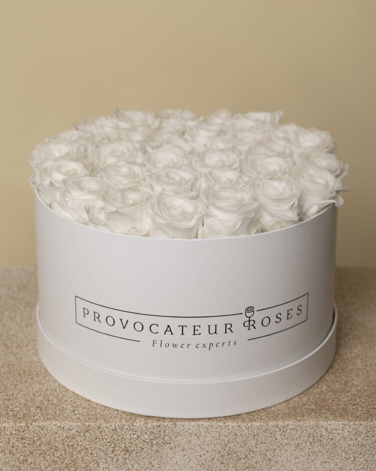 Caja redonda de rosas preservadas puré white