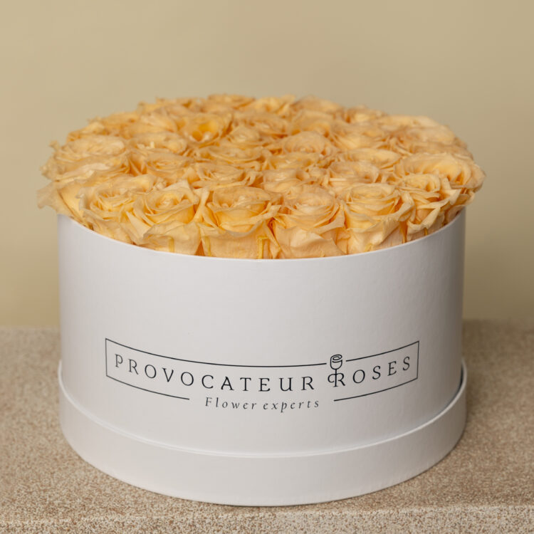 Caja Redonda de Rosas Preservadas peach
