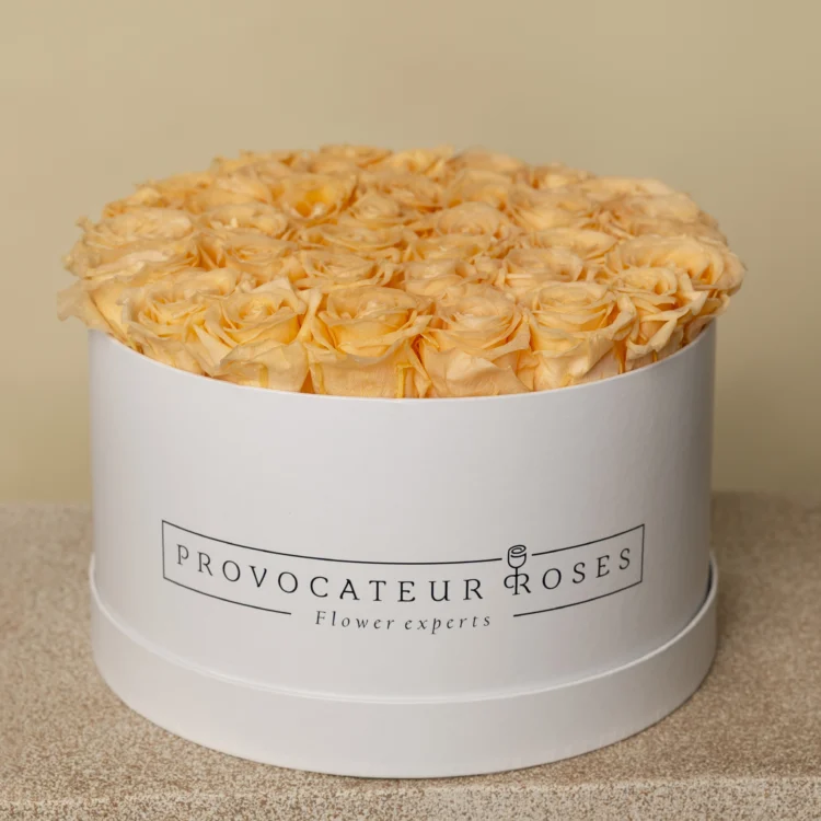 Round Box of Preserved Roses peach