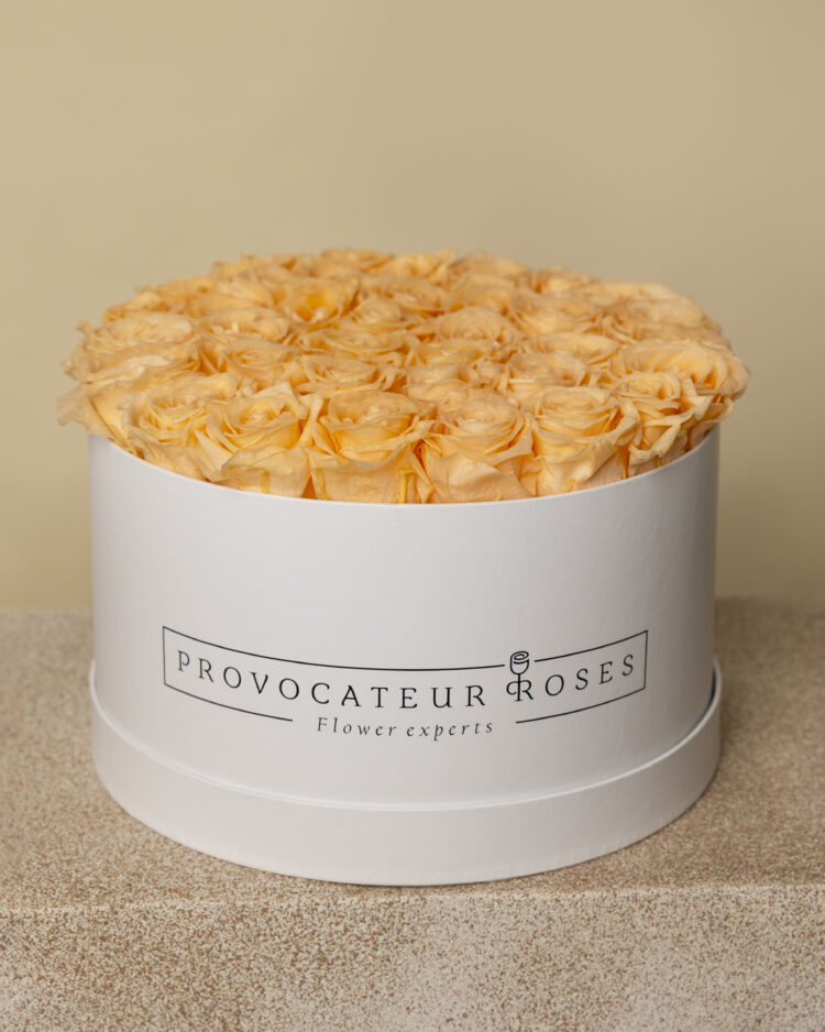 Caja Redonda de Rosas Preservadas peach