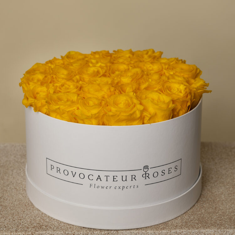 Caja redonda de rosas preservadas amarillo