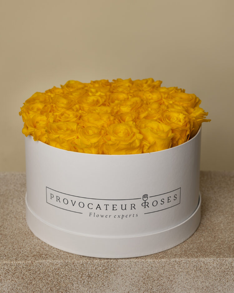 Caja redonda de rosas preservadas amarillo
