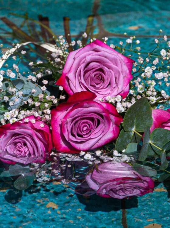 Ramo 6 Rosas Deep Purple Variado - Imagen 3