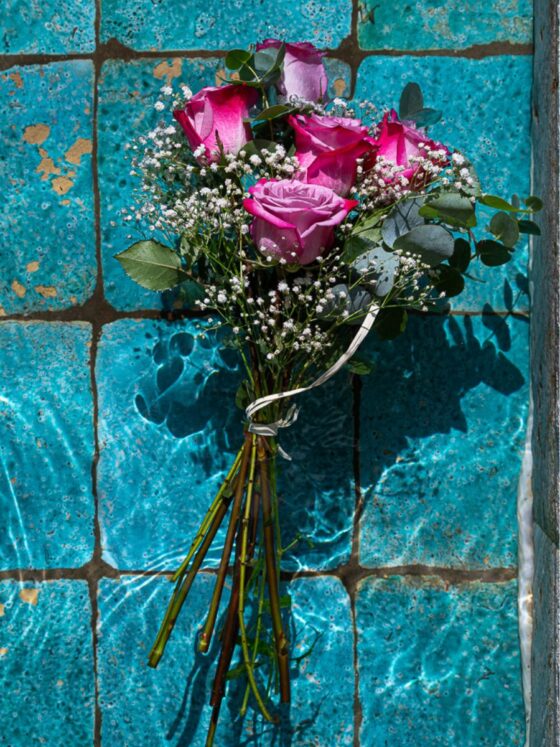 Ramo 6 Rosas Deep Purple Variado