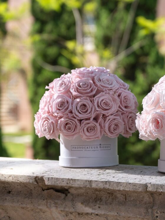 Glamour Eternal – Caja Blanca con Rosas Preservadas - Imagen 2