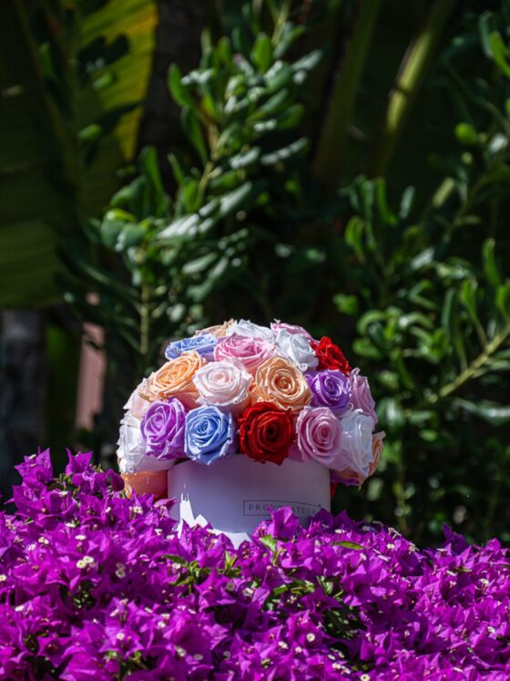 Glamour Mix Color Roses Eternal - Imagen 2