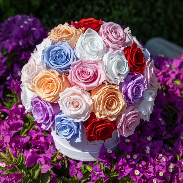 Glamour Mix Color Roses Eternal