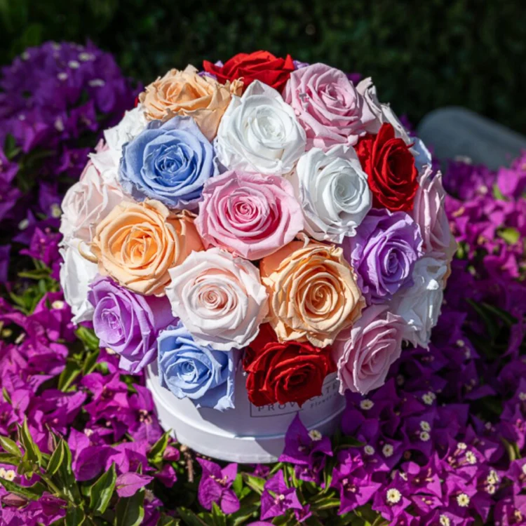 Glamor Mix Color Roses Eternal