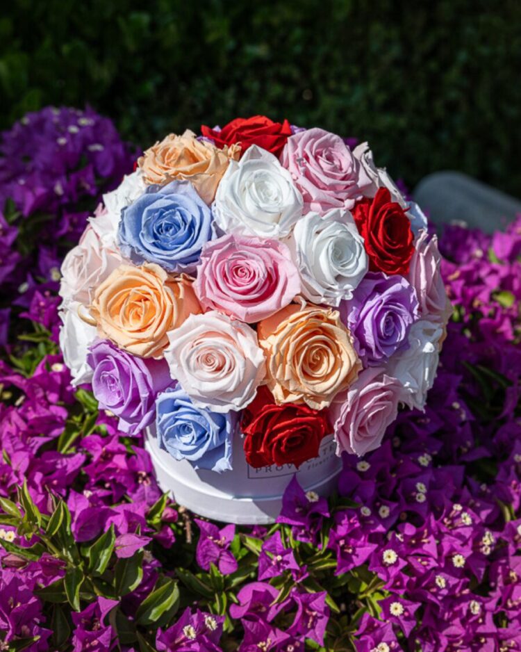 Glamour Mix Color Roses Eternal