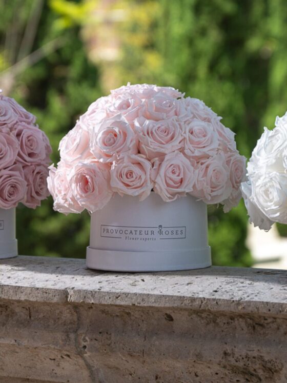 Glamour Eternal – Caja Blanca con Rosas Preservadas - Imagen 3