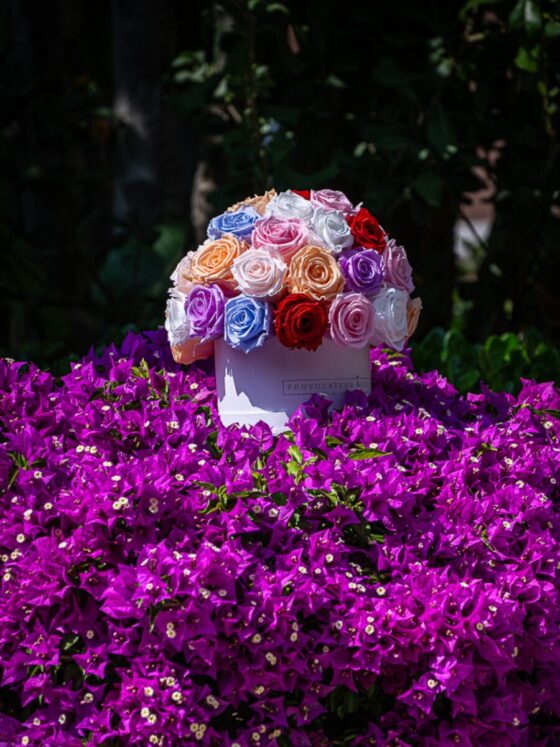 Glamour Mix Color Roses Eternal - Imagen 6