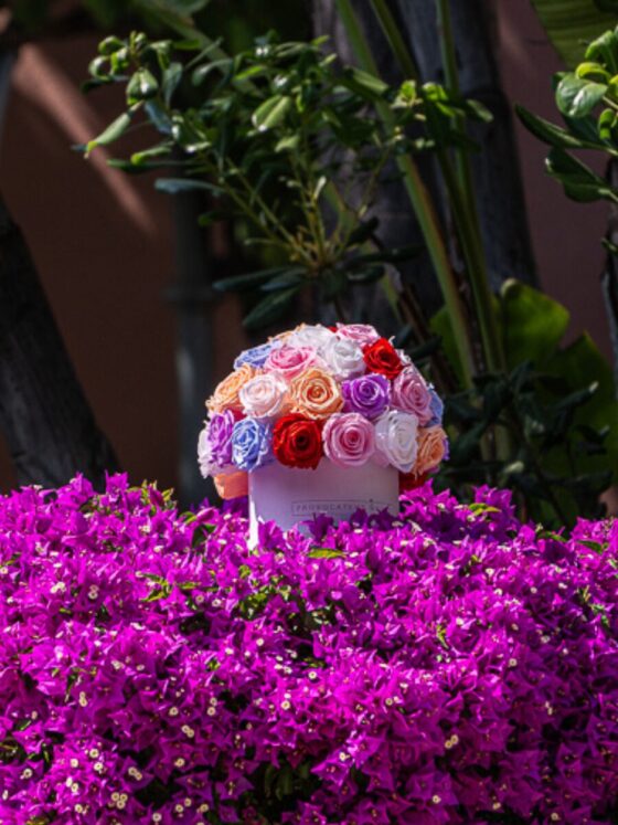 Glamour Mix Color Roses Eternal - Imagen 4