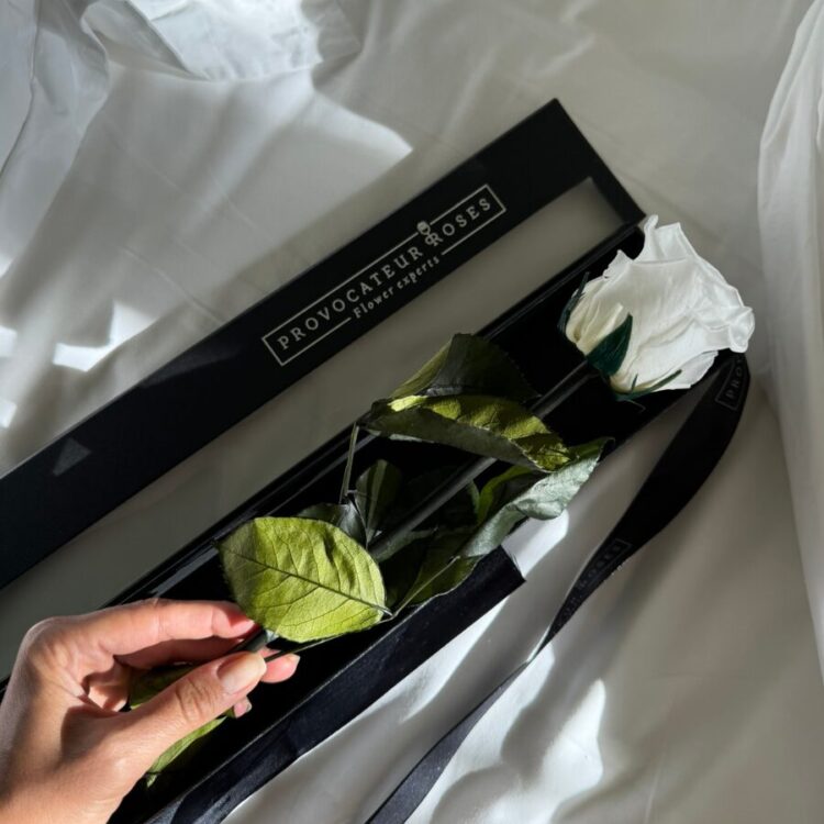Eternity White Rose