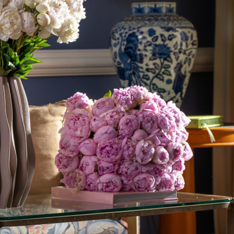 50 Peonias Rosas