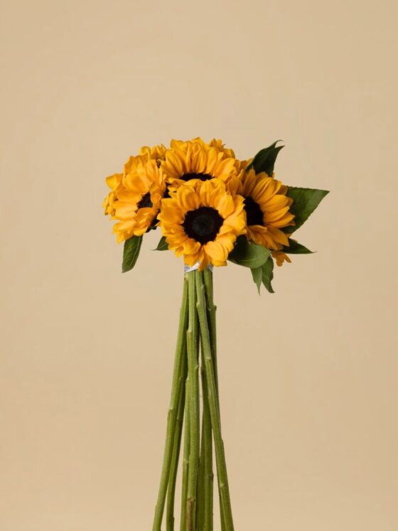 Ramo de 10 Girasoles