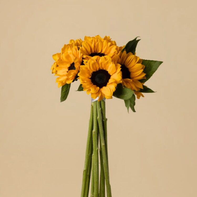 Ramo de 10 Girasoles