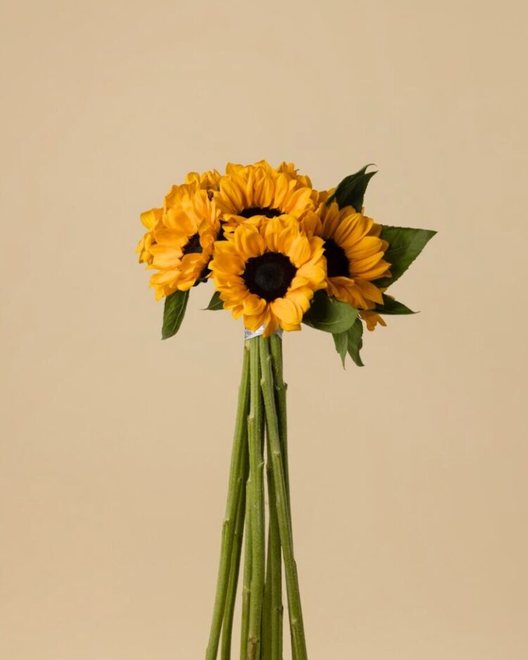 Ramo de 10 Girasoles