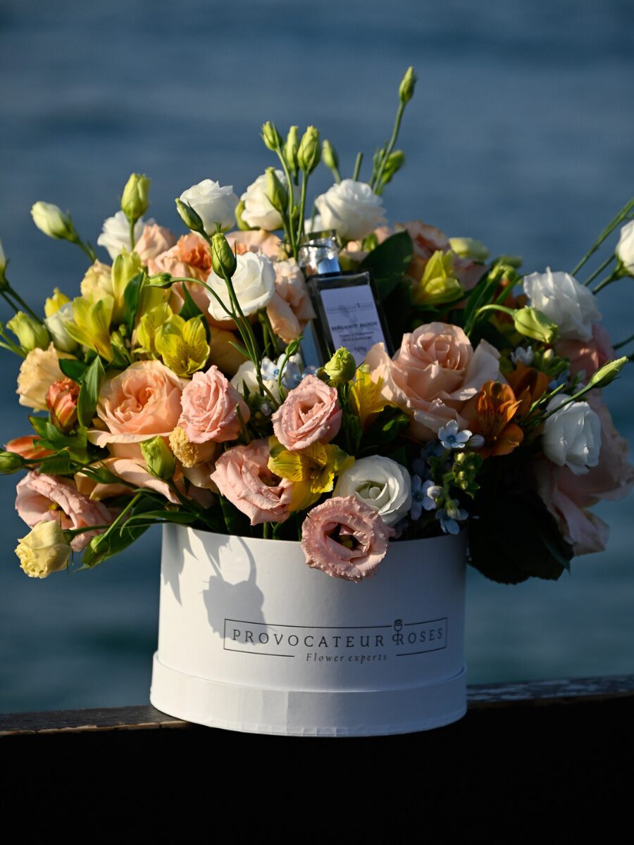 Cool Dawn - Imagen 2