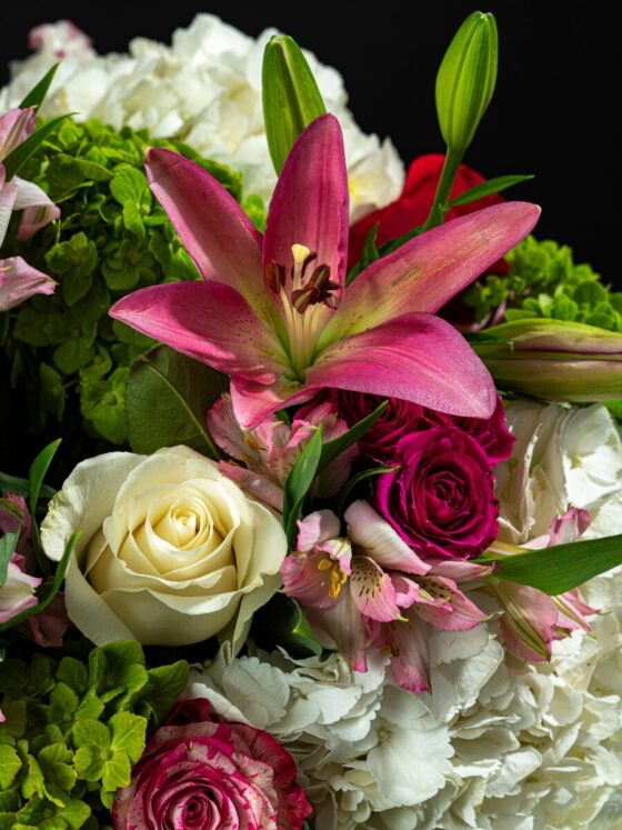 Secret Garden - Imagen 3