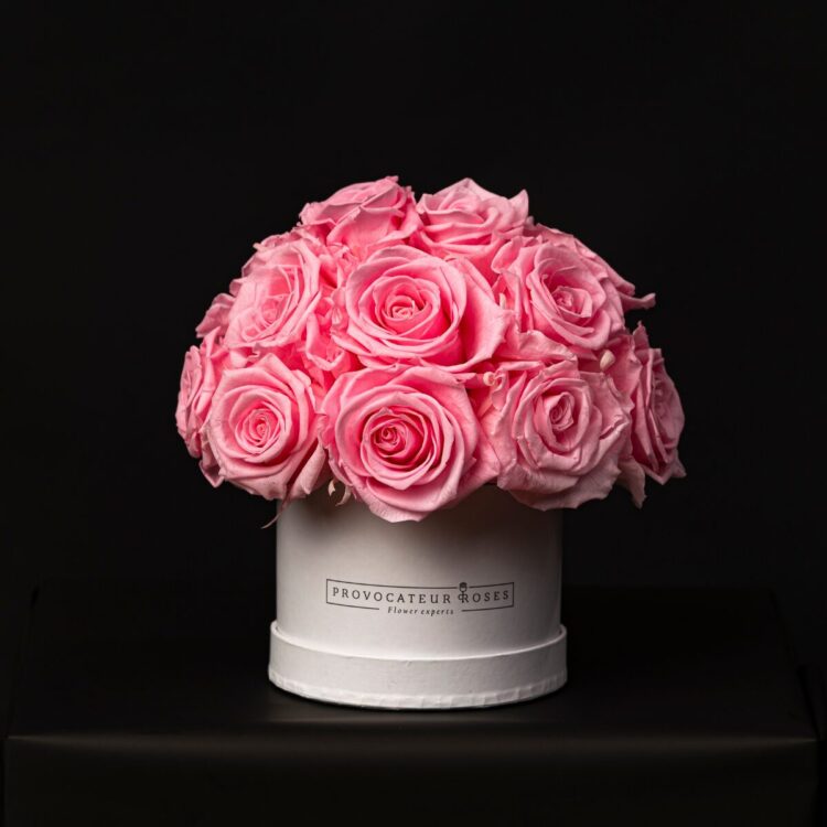 Glamour Little Baby Pink