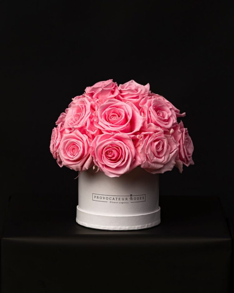 Glamour Little Baby Pink