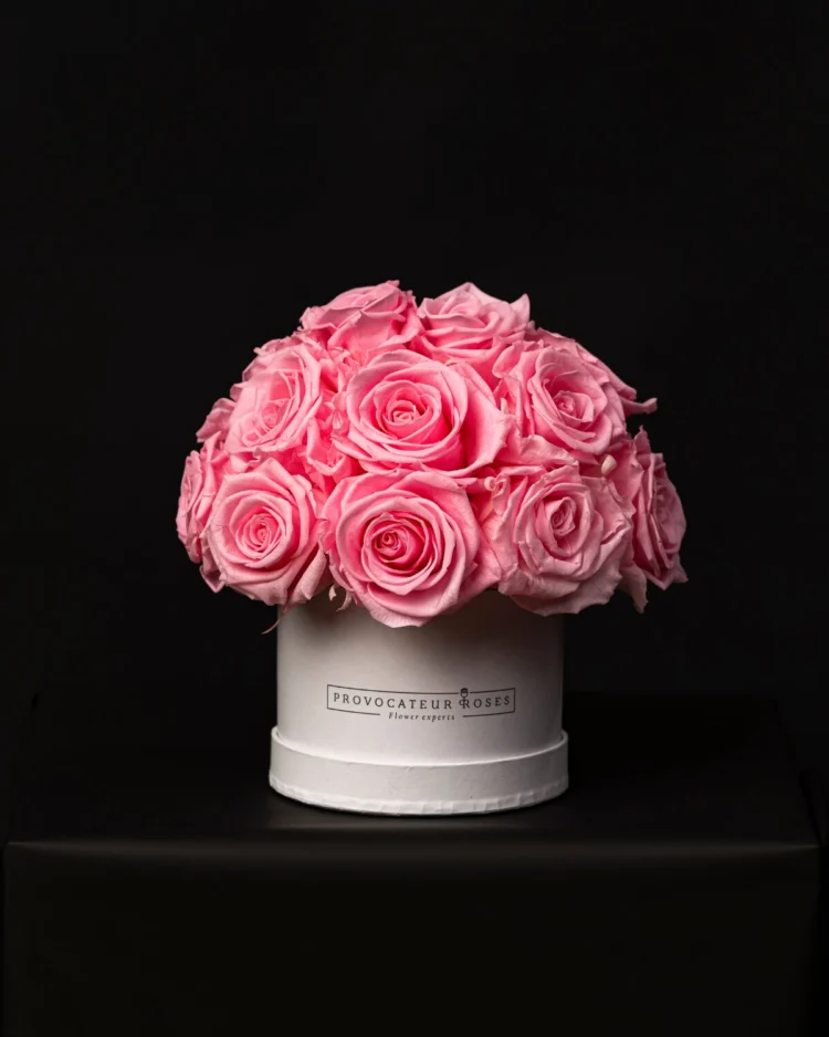 Glamour Little Baby Pink