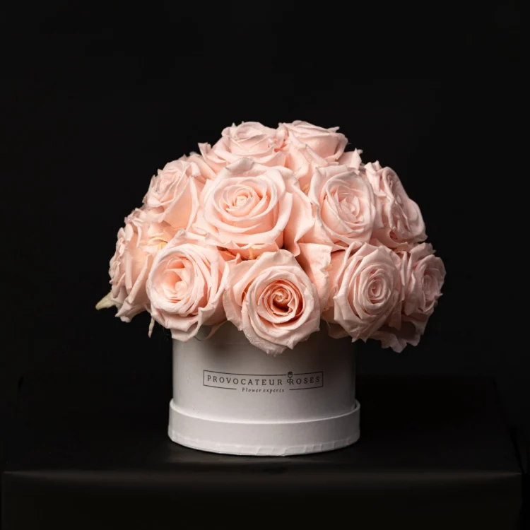 Glamor Little Baby Pink Blush