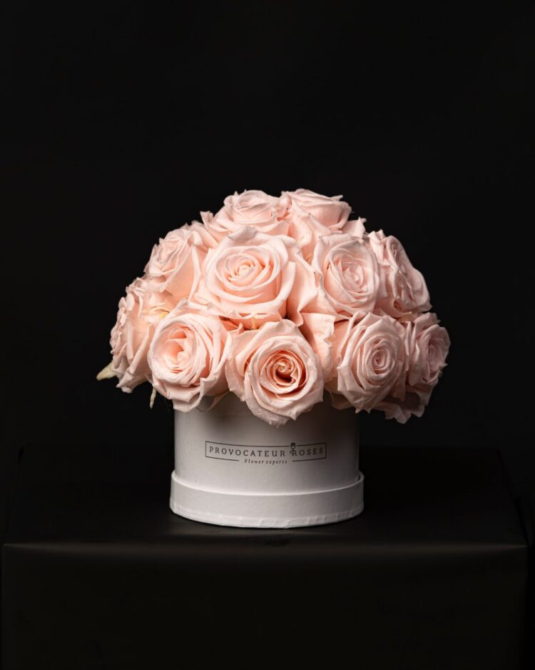 Glamour Little Baby Pink Blush