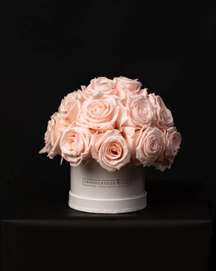 Glamor Little Baby Pink Blush