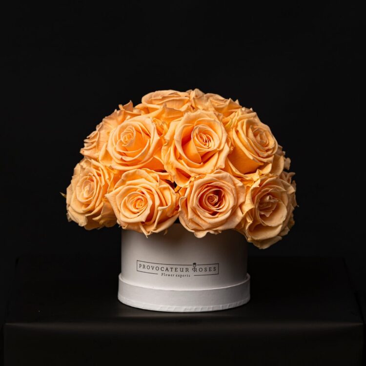 Glamour Little Orange