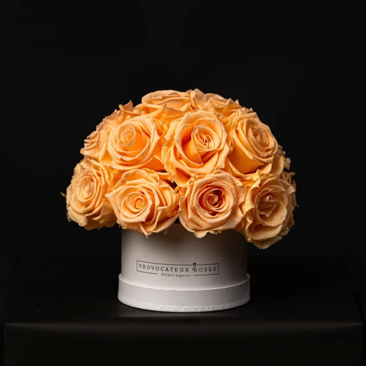 Glamour Little Orange