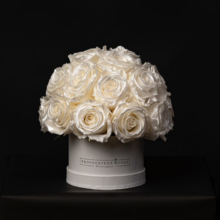 Glamour Little Perla