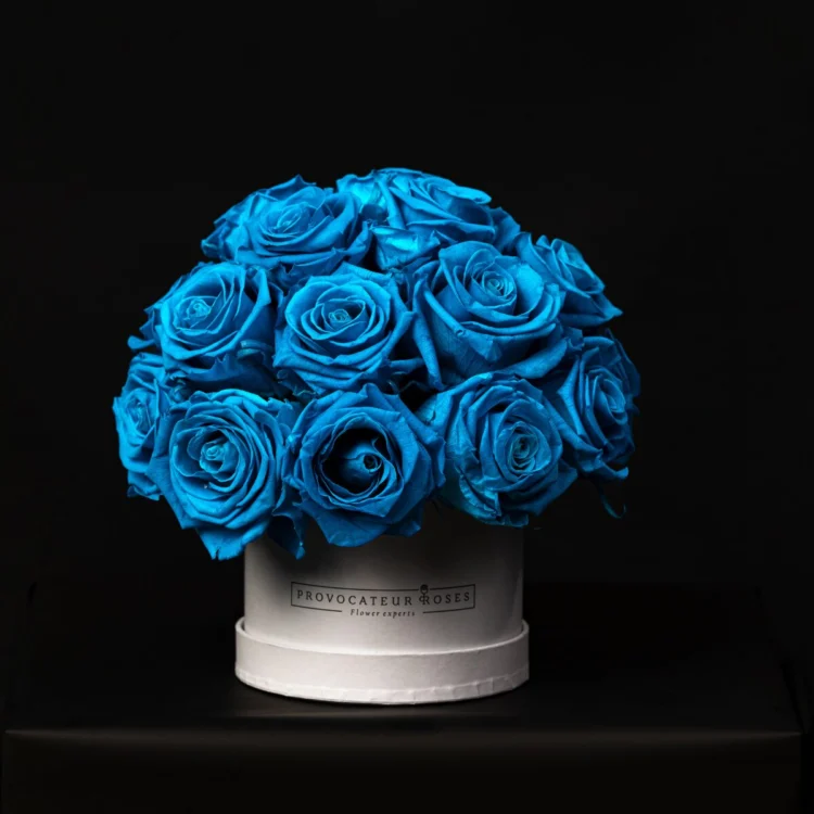 Glamour Little Ocean Blue