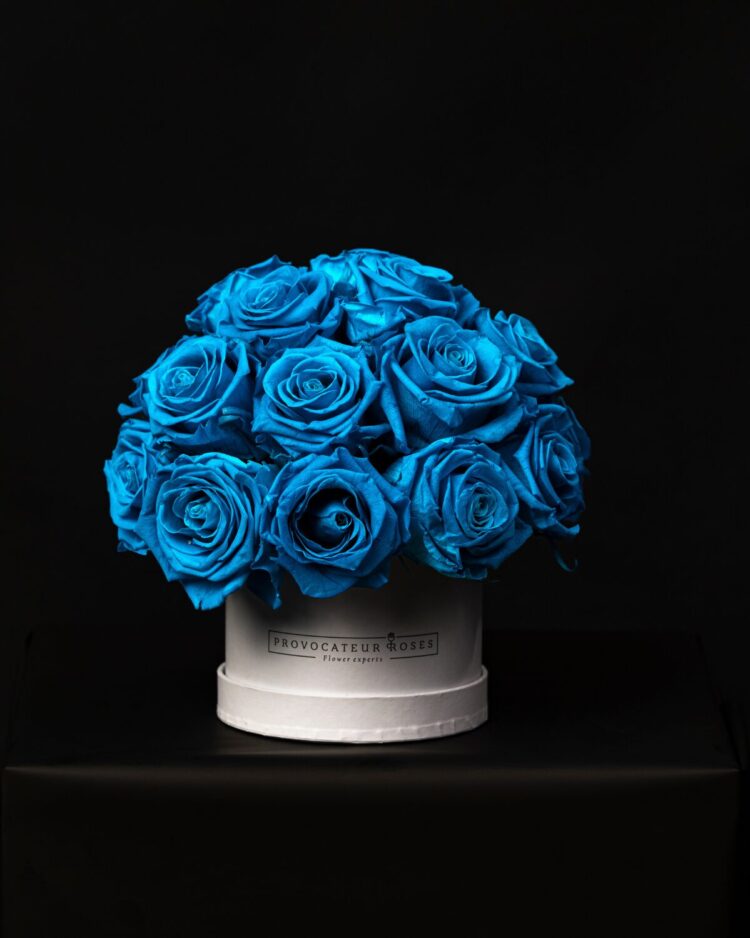 Glamour Little Ocean Blue