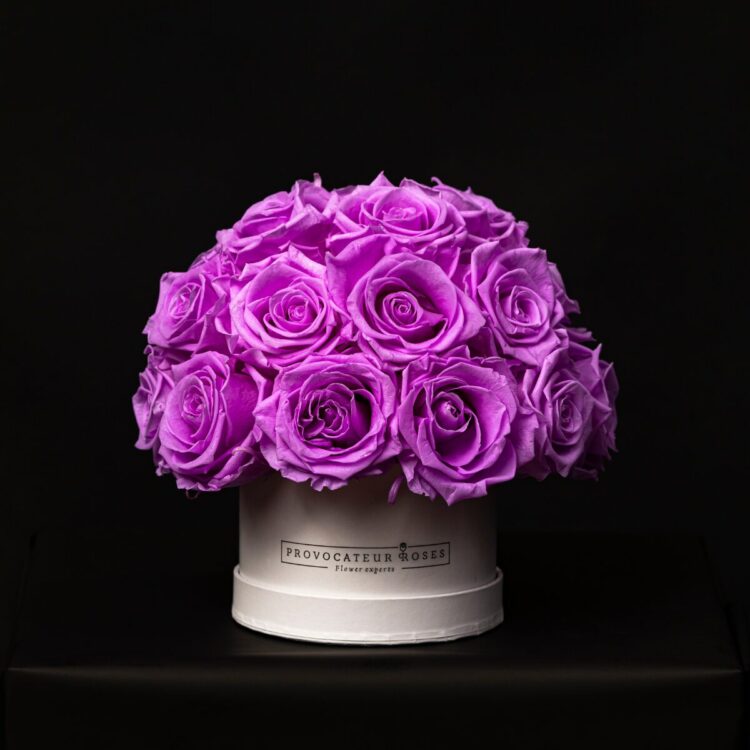 Glamour Little Lilac