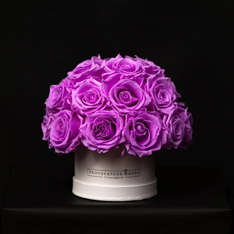 Glamour Little Lilac