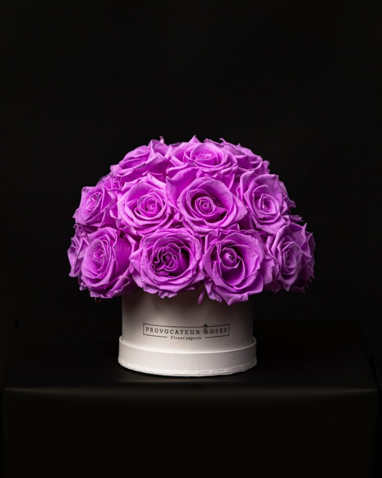 Glamour Little Lilac