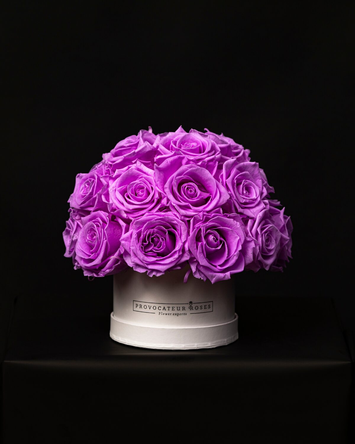 Glamour Little Lilac